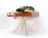Large Upcycled Pet Bed - Handmade - MCM