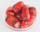 Sea Bamboo Coral Nugget Beads - Dyed Red (Varied from 11mm - 19mm) x 6