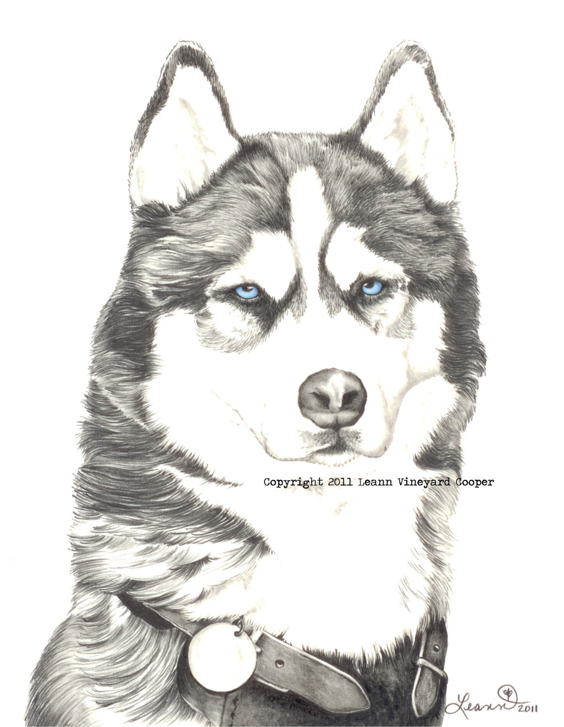 Husky dog, note / greeting card