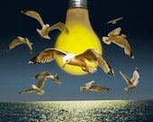 Ideas taking Flight - a Surreal Fine Art Photographic Image