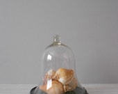 20% sale // rustic victorian glass cloche with metal turquoise blue base