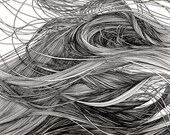 SML. SIZE - I lay beside a lake full of cool, sweet, black water - Giclee print - 8.5" x 11"