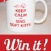 The Big Bang Theory Keep Calm and Sing Soft Kitty Mug