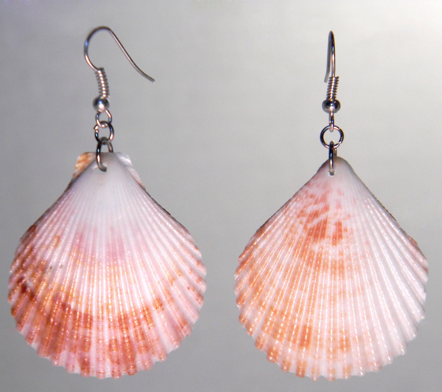 Natural White and Tan Seashell Dangle Earrings