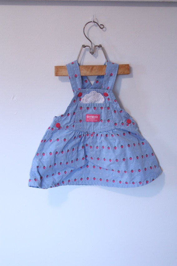 Strawberry Chambray Osh Kosh Dress