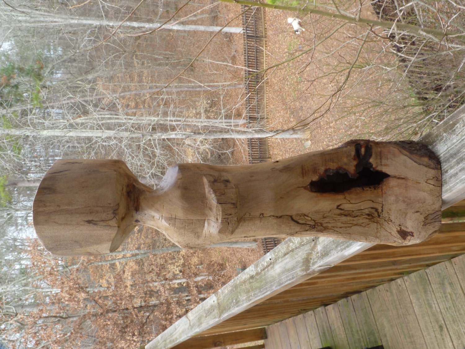 Wood Art Sculpture Carving, An Angel she is,  Wormy Spalted Maple