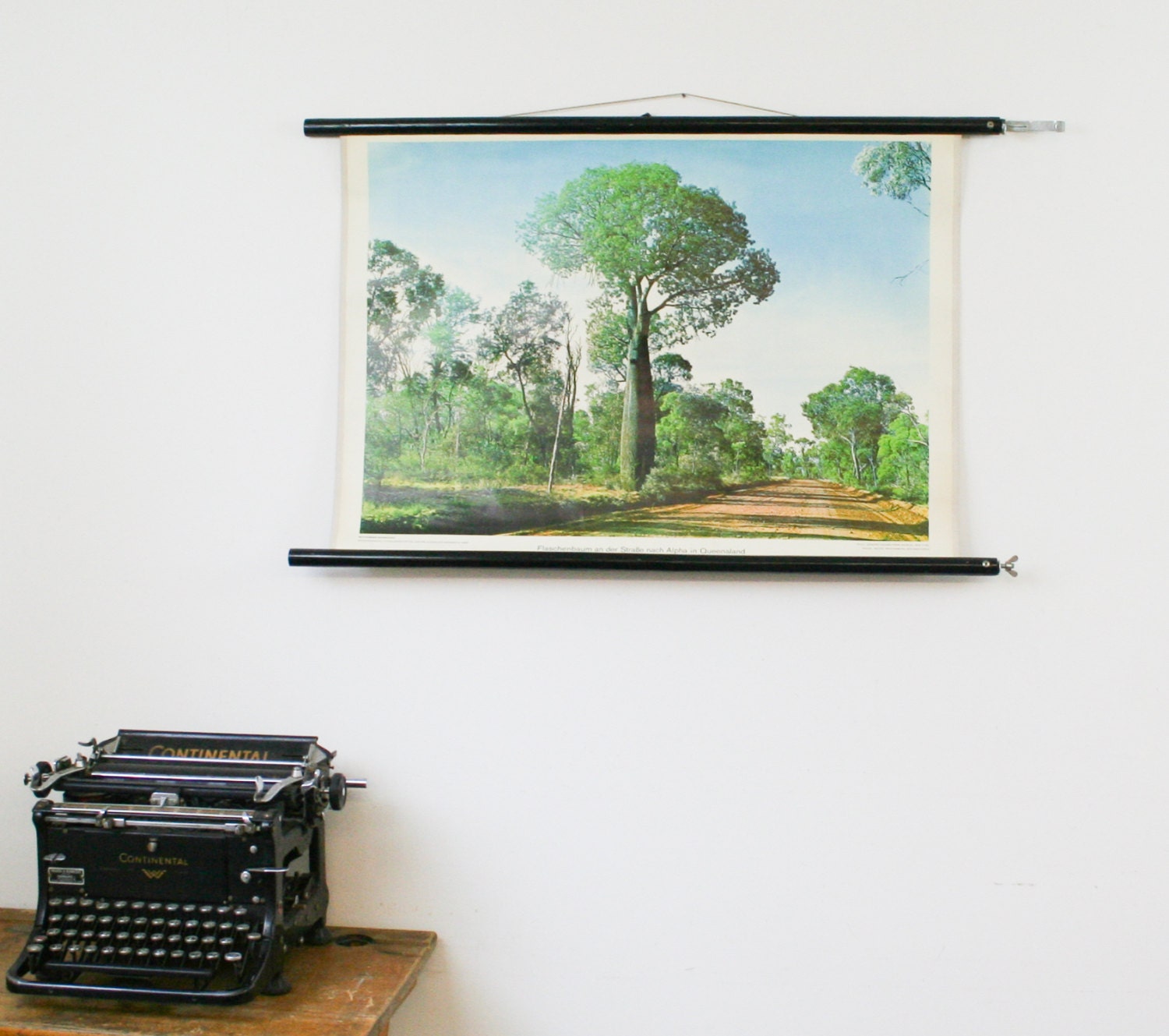 Vintage Pull Down Chart, Geography Chart, Tree in Australia, Queensland
