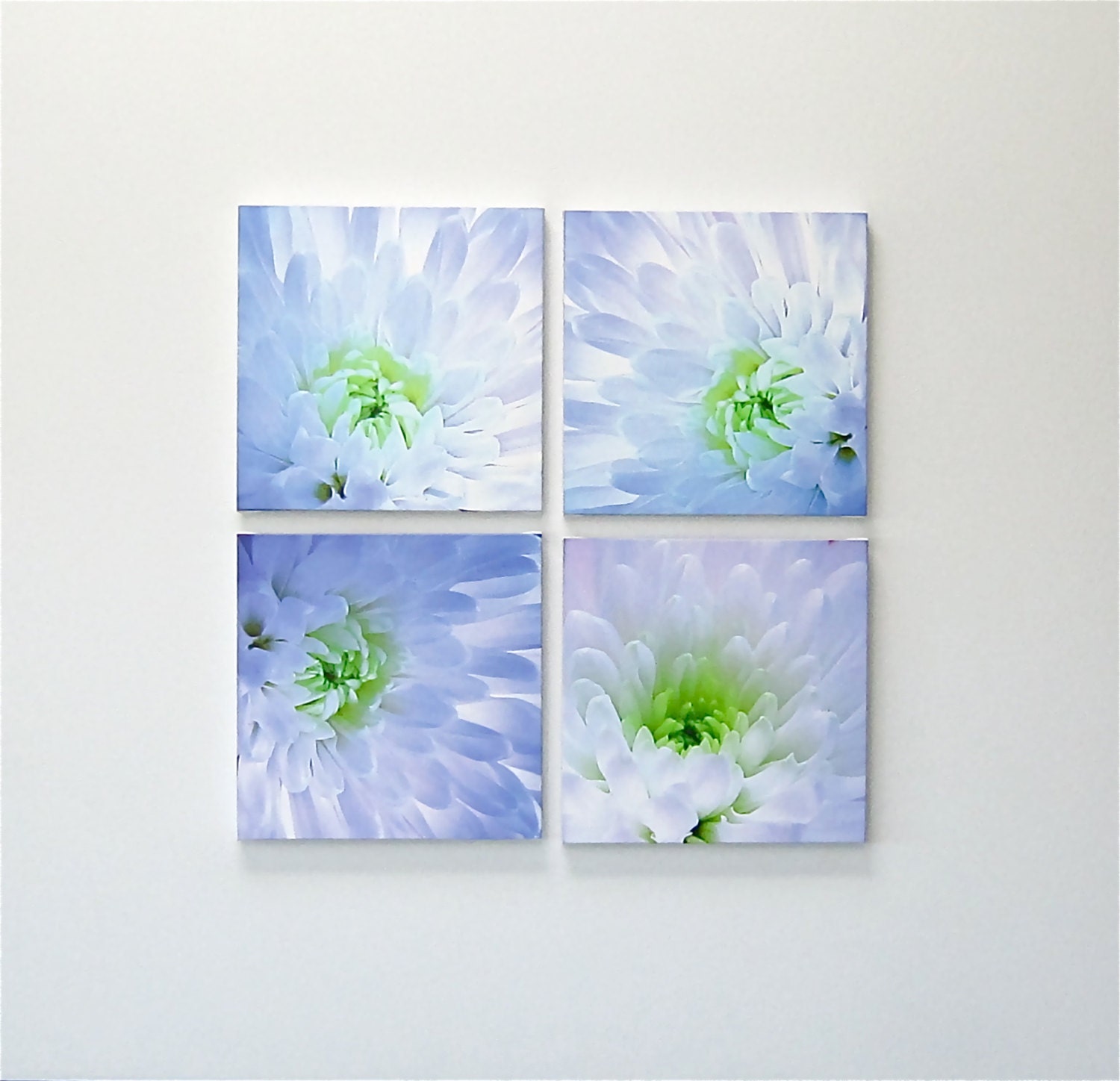 Flower photography botanical white MUM blue lavender lilac lime green wall decor set of 14" x 14" each pastel colors