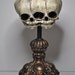 Conjoined Twins Fetal Skull Display