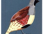 Postcard of a Gambel's Quail. 4" x 6". Limited Edition Print.