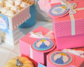 CINDERELLA Inspired Food Labels Party Printables - Girl Princess Party - Little Girls Birthday Party - Ladies Shower - Baby Shower Il_170x135