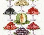 MRS BEETONS FRUIT Vintage Digital Image for Cardmaking Scrapbooking Altered Art Mixed Media