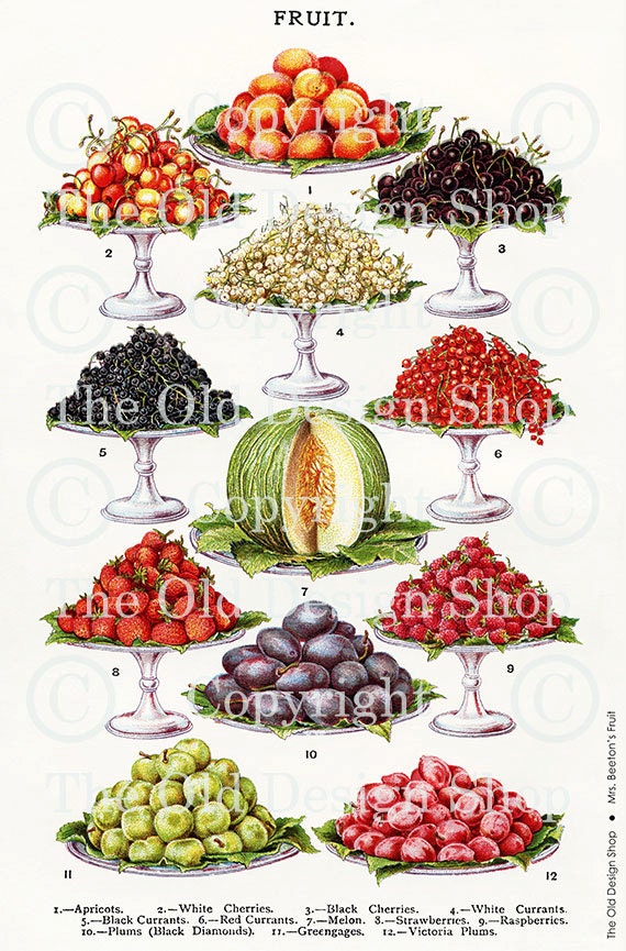 MRS BEETONS FRUIT Vintage Digital Image for Cardmaking Scrapbooking Altered Art Mixed Media