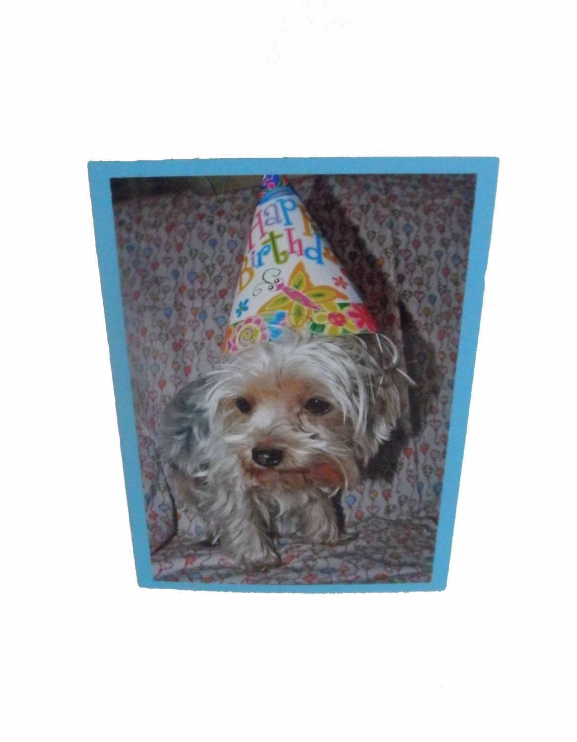 Yorkshire Terrier Belated Birthday Card, Sorry I Missed Your Birthday Dog Photo Card
