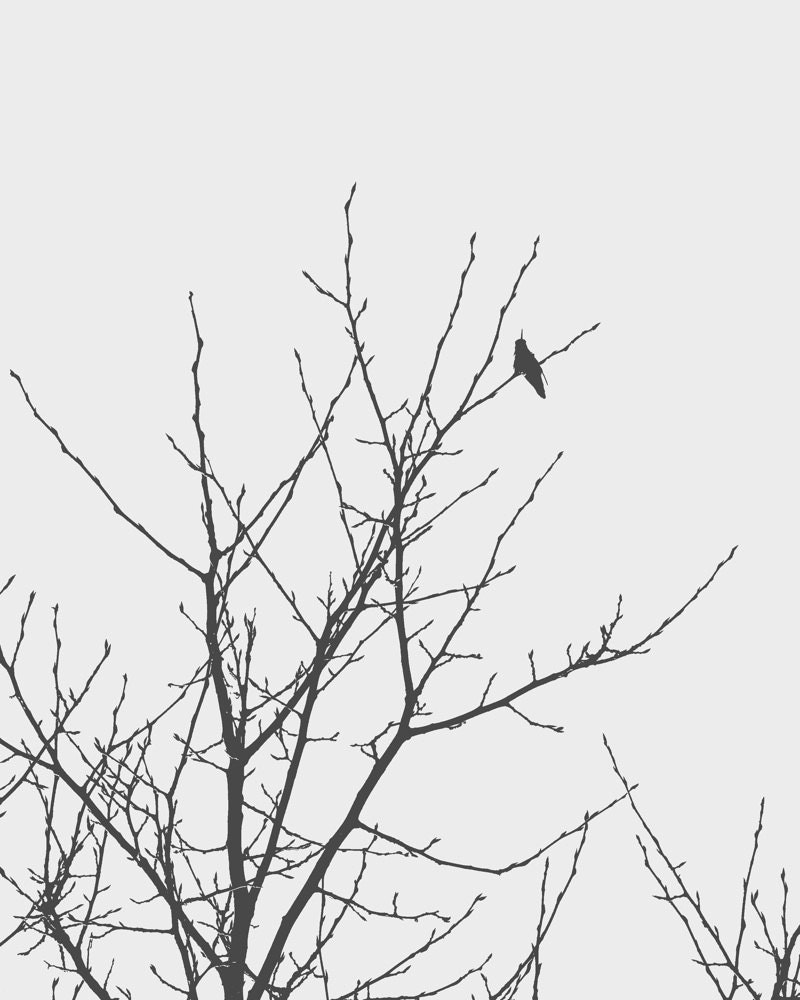 8x10 - Slow Winter - Black and White Photo, Gray Minimalist Home Decor, Nature Art Print, Tree and Bird Silhouette