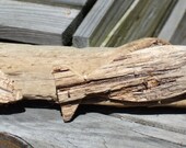 Hand Made Natural Authentic Driftwood Swimming Fish Wall Hanging, Wall Decor-Indoor or Outdoor Use-Cottage Chic, Beach, Nautical, Wall Art