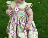Sweet Baby Girl Dress (2T)