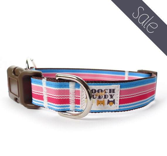 Snowcone Stripe Dog Collar - blue dog collar, large dog collar, pink dog collar, striped dog collar, girly dog collar