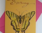 Butterfly, Spring, Blank, All Occasion