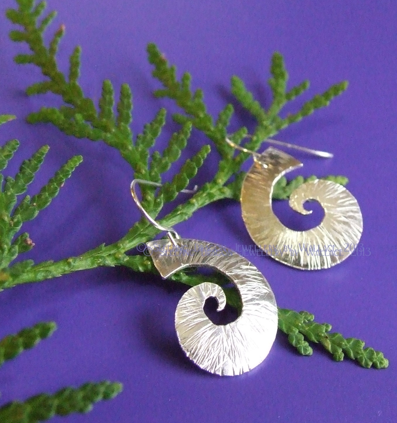 Dragon claw - swirly sterling earrings