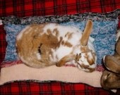 big Bunny Hugger side by side bunny rabbit multicolour