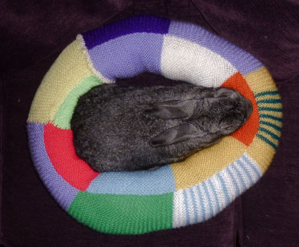 Ugli Donut bunny rabbit bed for a medium sized bunny hand knit bright happy colours wool free