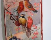 Womans Flask -Diva-Vintage Style Singing Birds -Over 21-Shabby Chic-Nature Inspired-Whimsical