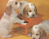PUPPIES & TOY PIANO, "The Three Offbeats", Vintage Photo Postcard, Used and Stamped, Cocker Spaniels, 1950s - 1960s, Plastichrome