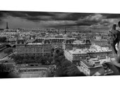A stunning 24x55 x 1.5 museum quality canvas print taken of a Gargoyle as it looks down upon the beautiful Paris France