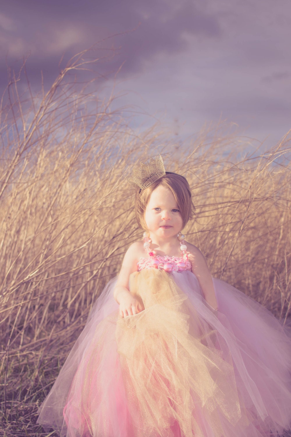 Tulle Tutu Dress Pink, White, Gold Perfect for Portraits, Flower Girls, Birthdays