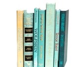 Aqua Blue, Sea Foam Book Collection, Instant Library, Vintage Decor, Photo Prop, Wedding Shabby Chic Centerpiece