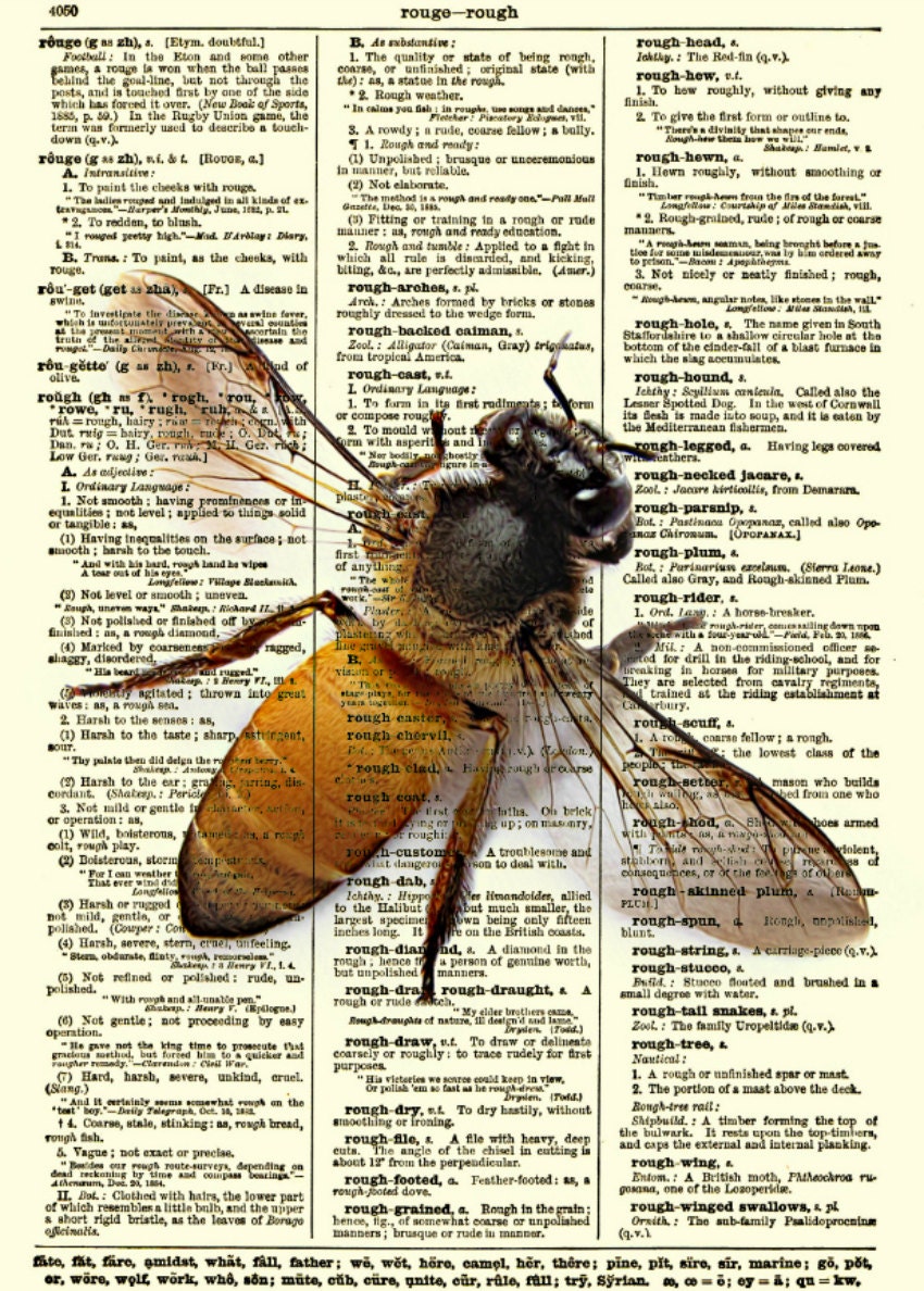 Bee Print on Antique Dictionary Page Bee by ReImaginationPrints