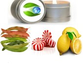 Breathe Easy Aromatherapy Soy Candle 8 oz. - Certified Pure Essential Oil  - Travel Tin Candles - Scented Candles - Vegan Organic