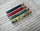 Harry Potter inspired house points glass vial necklaces