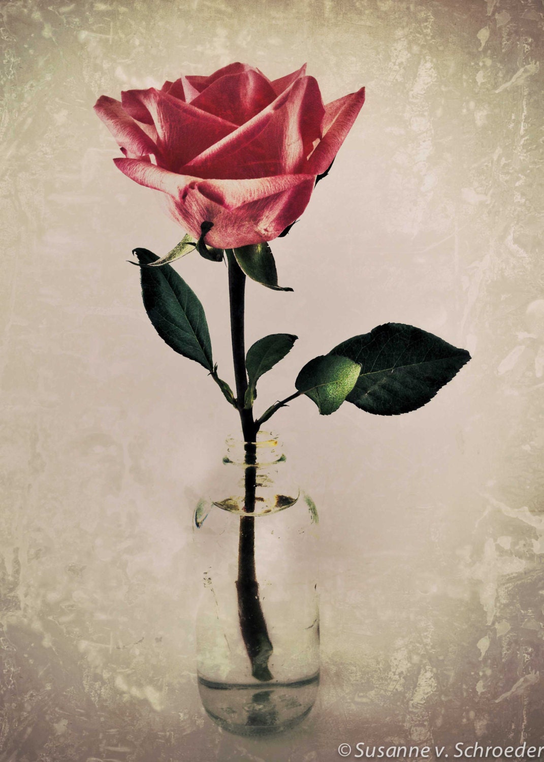 Nature Photography, Red Pink Rose, Fine Art Floral Print, Shabby Chic, Vintage Style, Feminine, Wall Decor
