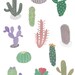 Cactus, Cacti Illustration print. Wall art. Wall decor by illustrator amyisla.