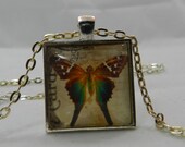Turquois Butterfly Pendant Necklace 1" Square Glass Cover Jewelry Animal Art Print Gifts for Her or Him