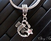 Scorpio (10/23-11/21) Zodiac Sign dangle charm - fits most european bracelets and necklace