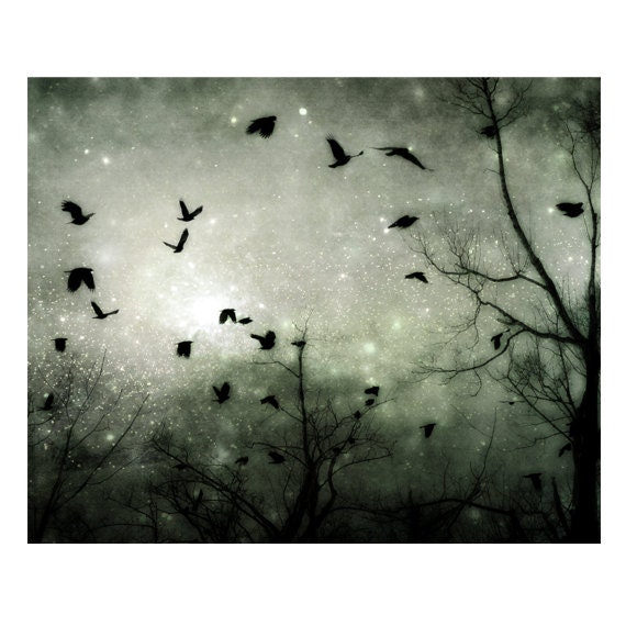 Celestial Birds, Stars, Metallic, Surreal Photograph, Fantasy, Constellation - Starry Night - gothicrow