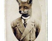 Young Mr. Fox, 5x7 Inch,  Fox Art, Fox Print