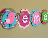 Birdie Name Banner Pink, Green, and Turquoise Shabby Chic Birthday Decorations Bird Baby Shower Girl