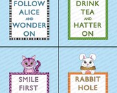 All 4 Alice in Wonderland Illustration Digital Download Print for Parties Party Decor Baby Shower Etc. Keep Calm and Carry On Il_170x135