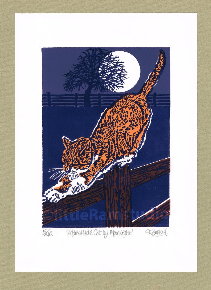 Marmalade Cat by Moonlight - Limited Edition Hand Pulled Linocut Print - Contemporary Fine Art