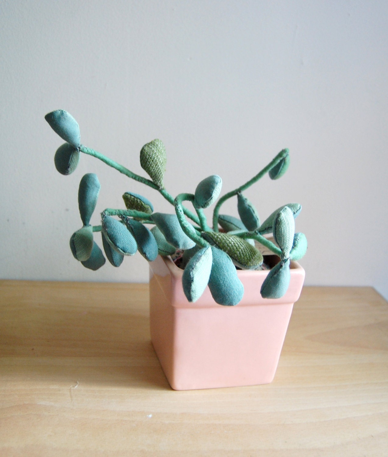 SALE Stuffed Jade Plant