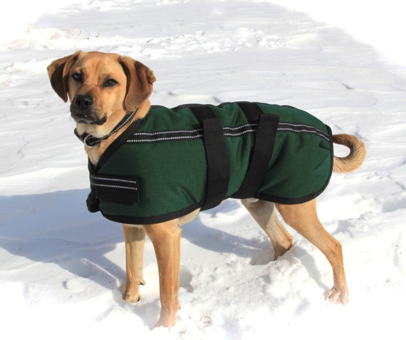 items-similar-to-warm-winter-dog-coat-size-20-waterproof-and-durable