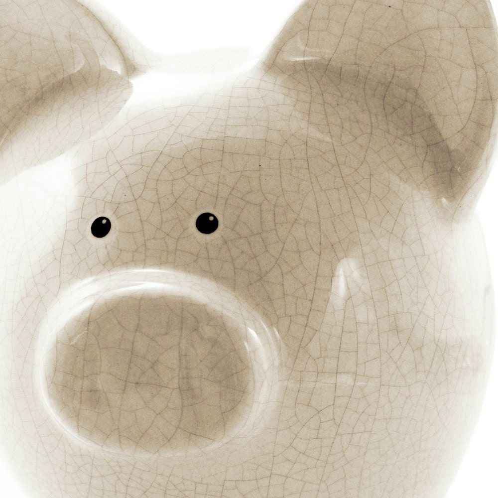 Personalized Piggy Bank Antique Crackle Cream with by ThePigPen