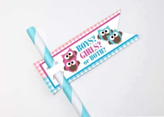 TWINS, Straw Flags, Sucker Tags, Cake Pop Tags, Baby Gender Reveal Party, Baby Shower, Owls Il_570xn