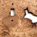 Cherry Burl Live Edge Double Light Switch Plates - Sustainable Harvest Wood . OOAK . Timber Green Woods