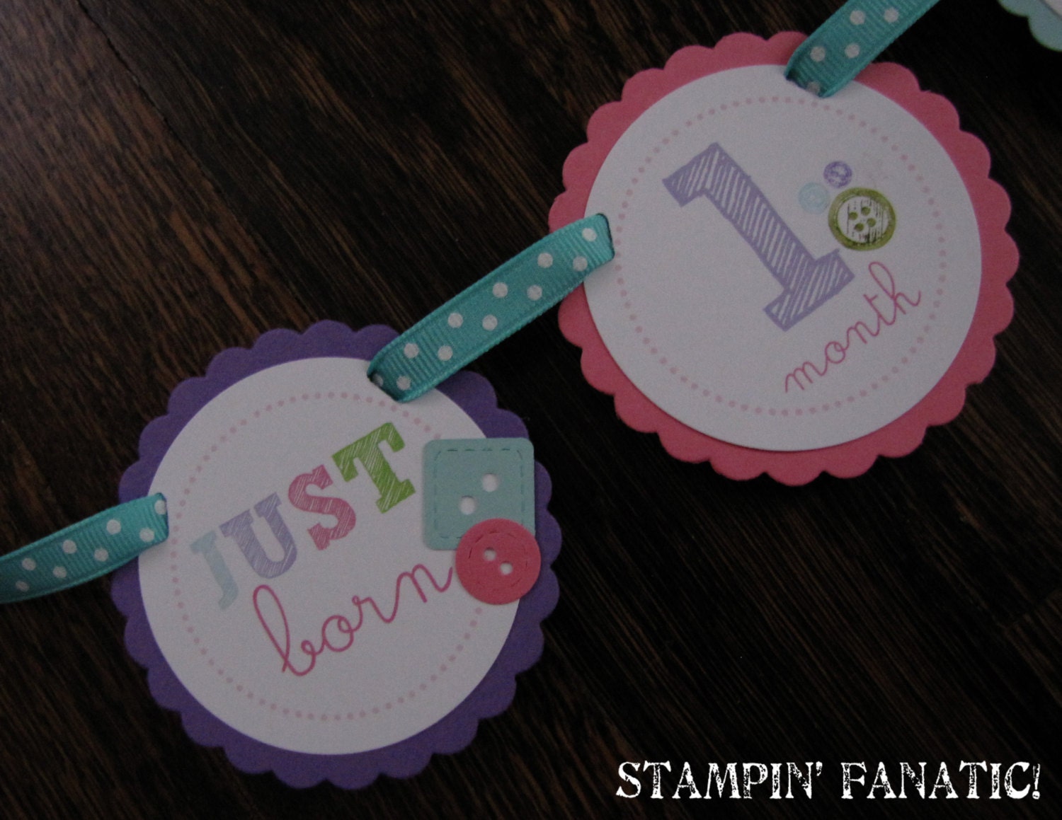 Cute as a Button. Just Born/0-12 mos Picture Hanging Banner. Buttons. Sew. First Birthday Banner. Button Photo Banner. Il_570xn