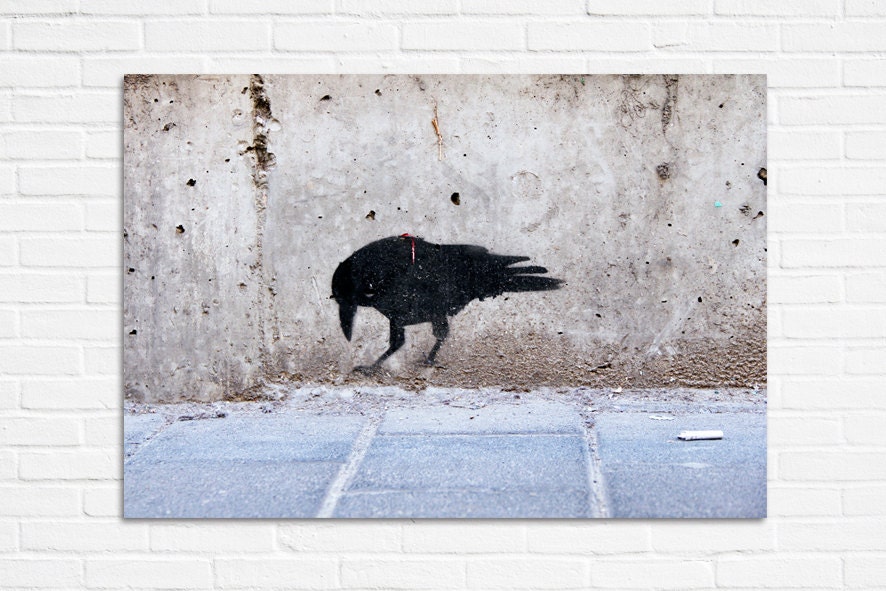 street art, photography on canvas, black crow, ready to hang,16"/20" - hayagold